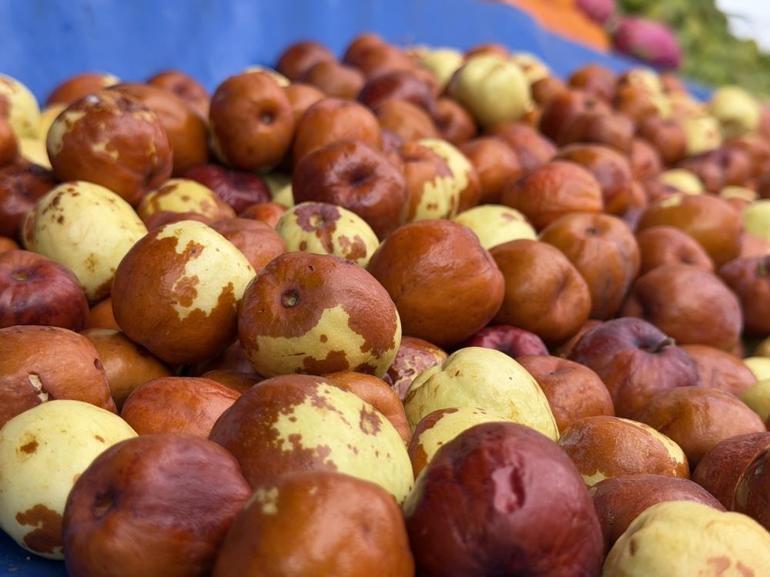 Fiyatı görenler poşet poşet alıyor Kilogramı 50 liraya kadar düştü