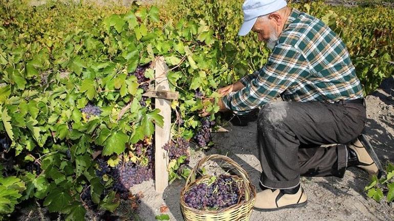 Köyde duyan inanmıyor Karısına 58 yıldır aynı şeyi yapıyor