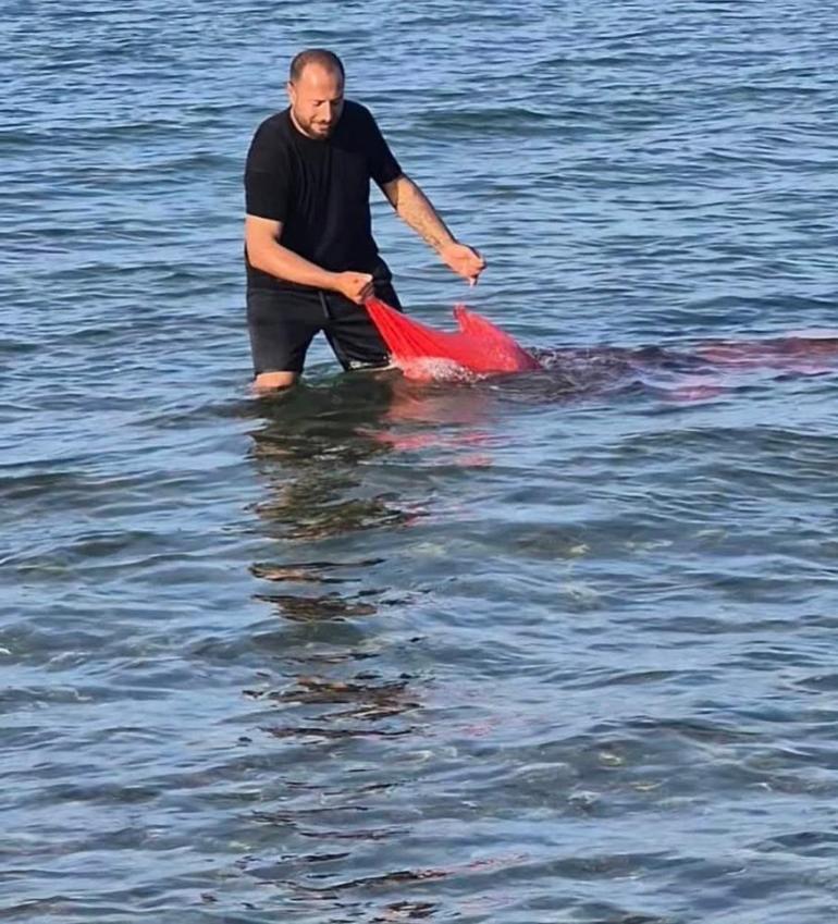 Bursada ekipler kıskıvrak yakaladı Yasa dışı kum şırlanı avcılığına geçit yok