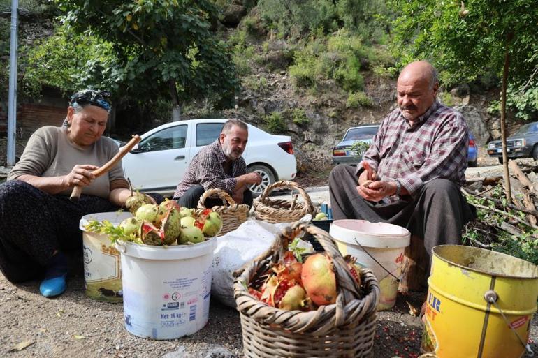 1,5 ton nardan yaklaşık 60 kilo nar ekşisi çıkıyor El yapımı ürünün kilosunu 750 liraya satıyorlar