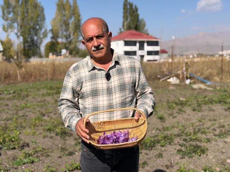 Bu tarlada servet yatıyor Bir adım attı bütün hayatı değişti