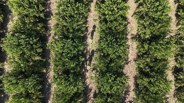 Adanada kriz kapıda Piyasayı salladı: Bir an önce yapın