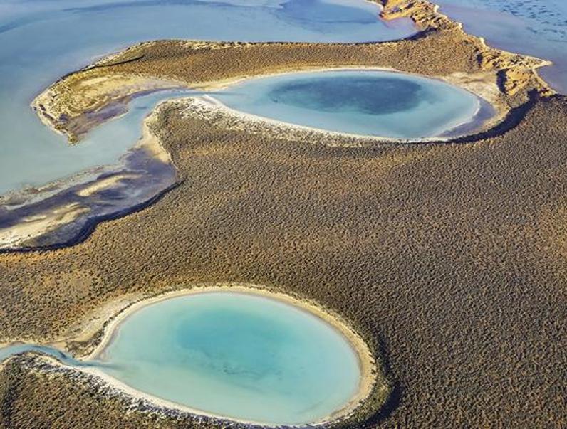 Adana'da bir doğa harikası: Yumurtalık Lagünü