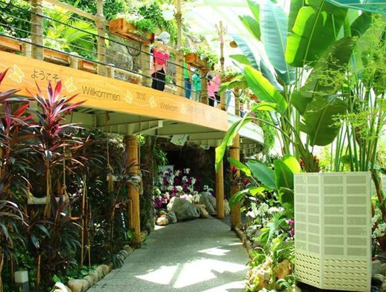 Konya Tropikal Kelebek Bahçesi