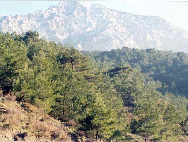 Spil Dağı Milli Parkı