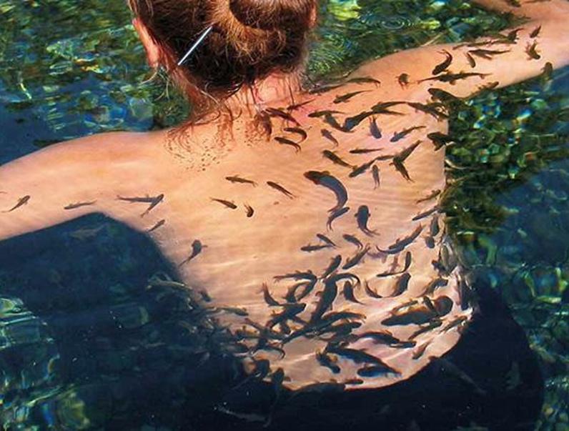 Kangal Balıklı Kaplıca