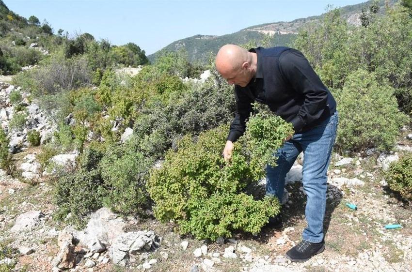 Sipariş yağıyor! Pişirmesi 3 gün sürüyor, 250 çeşit üretiyor...