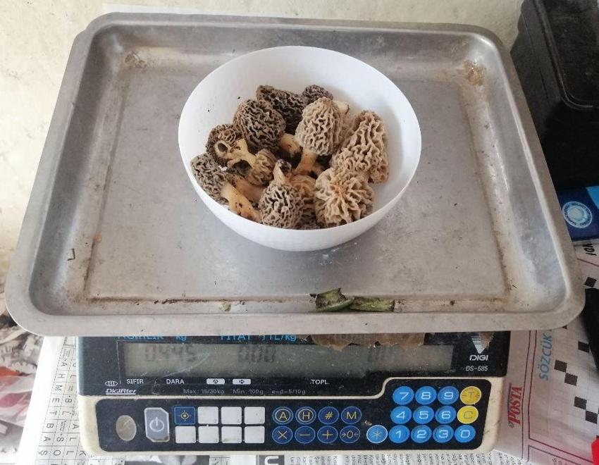 Kilosu 130 lira! Tezgahta yarım saatte tükeniyor