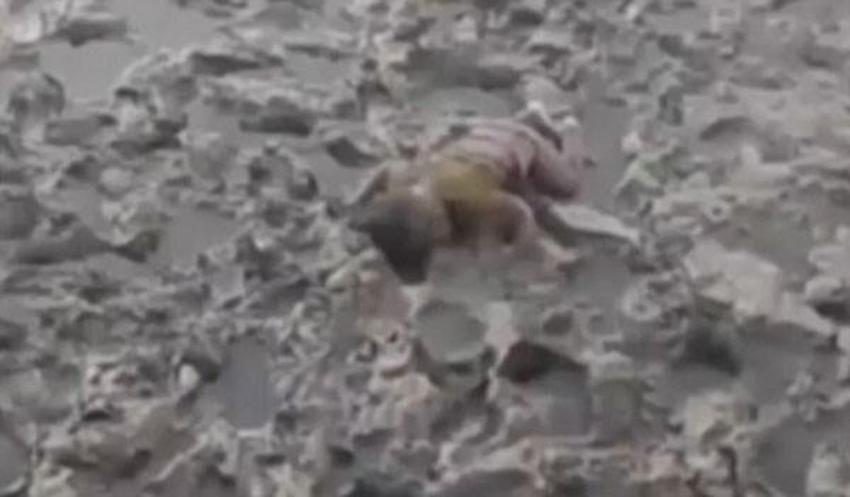 İkinci Aylan Kurdi vakası! Yürek yakan manzara