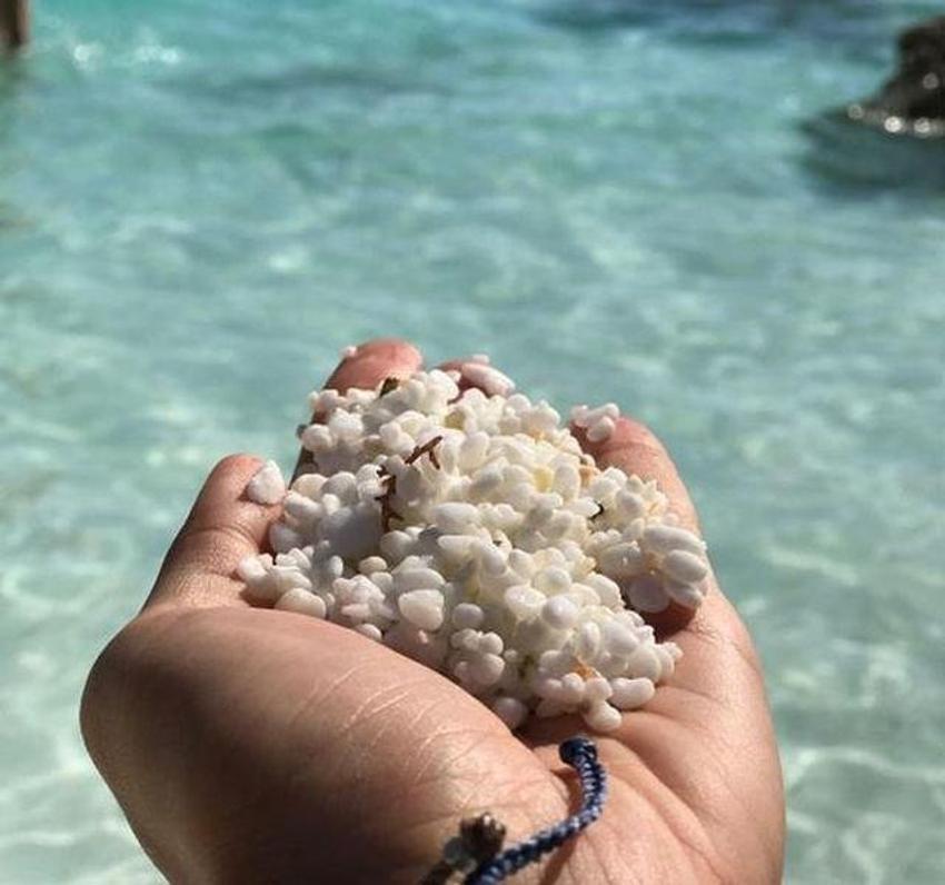 Survivor güzelinin dövmesi dikkat çekti!