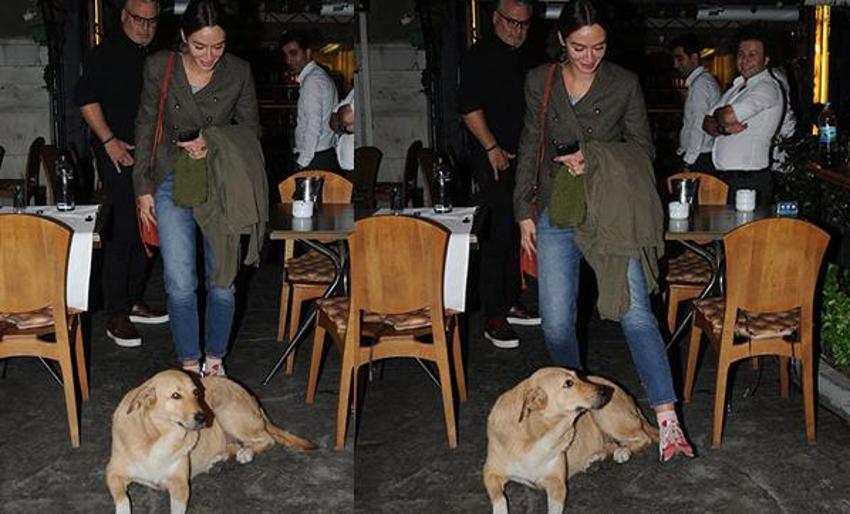 Birce Akalay köpeği görünce bakın ne yaptı?