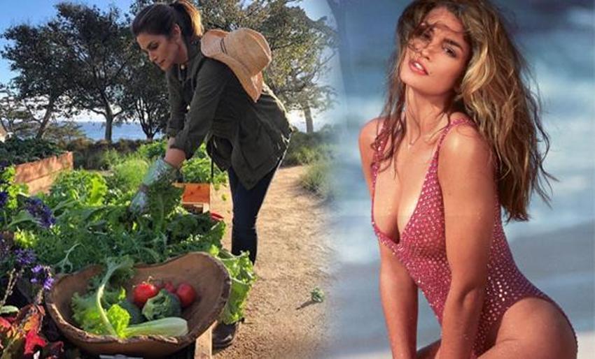 İşte efsane model Cindy Crawford'un yeni işi!