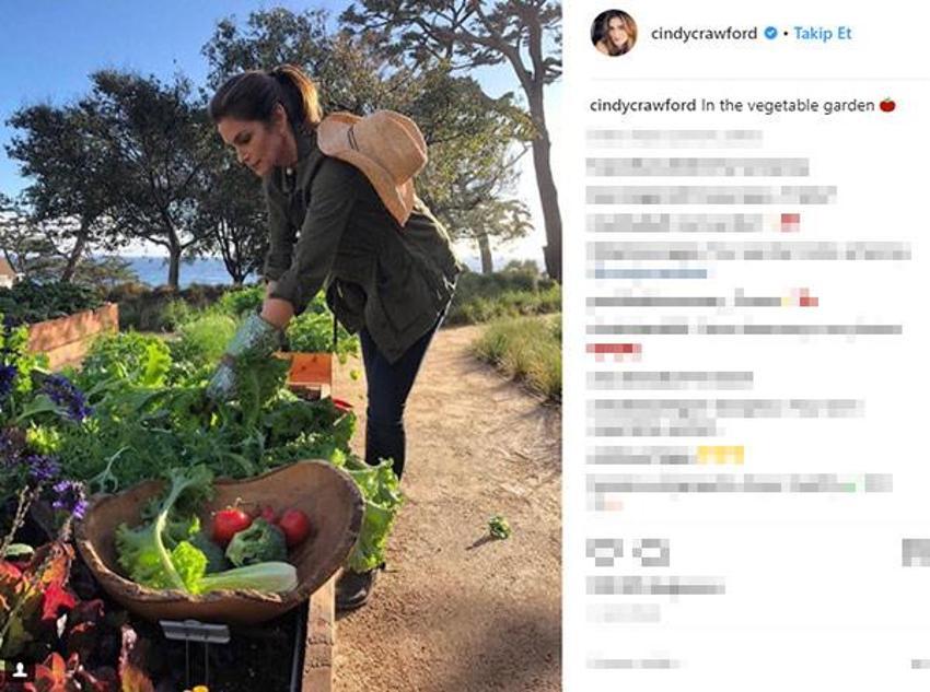 İşte efsane model Cindy Crawford'un yeni işi!