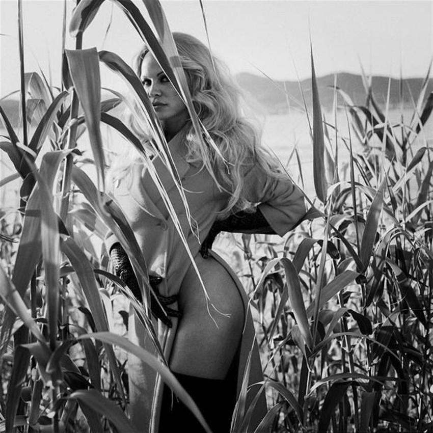 Pamela Anderson: Sevgilimle vücut diliyle anlaşıyoruz!