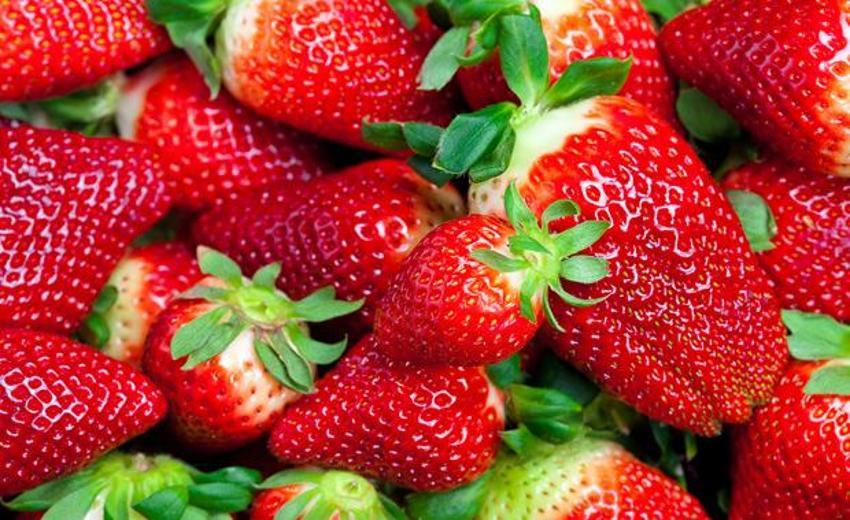 16 Haziran sahur menüsü