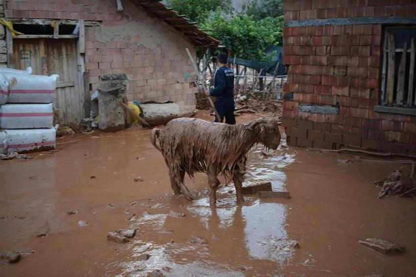 Elmalı'da ikinci sel! Hayvanlar telef oldu