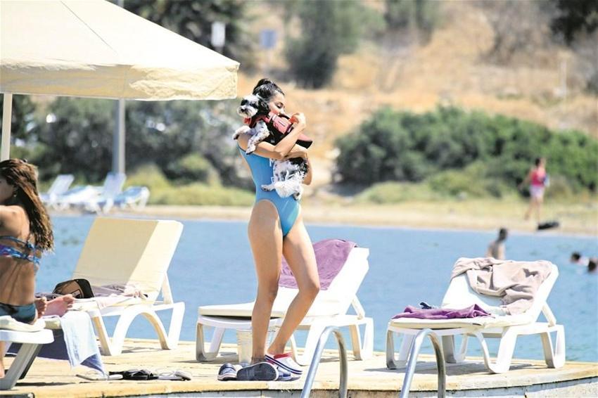 Köpeğim olmadan asla