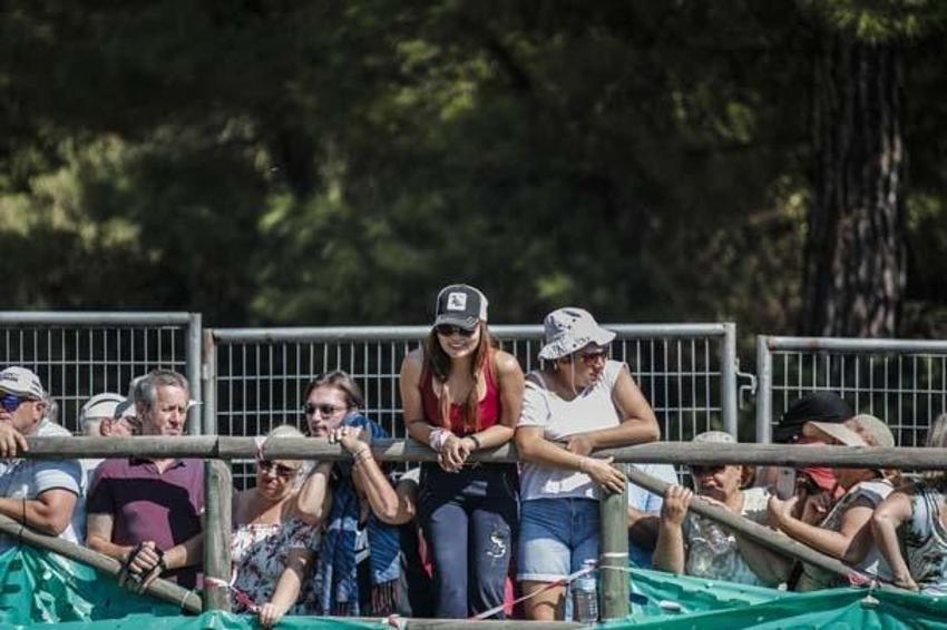 Dünya Ralli Şampiyonası Türkiye etabını Ott Tanak kazandı! İşte ralliden kareler