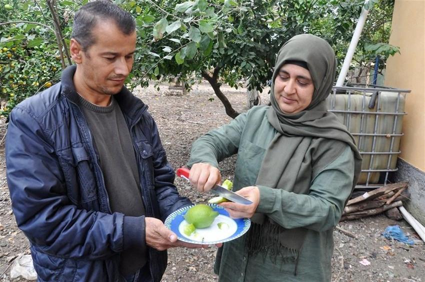 Limon ağacı 'biber' verdi