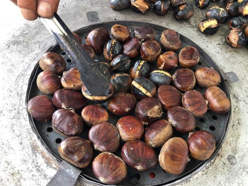 Kebap kestane fiyatı kırmızı eti solladı
