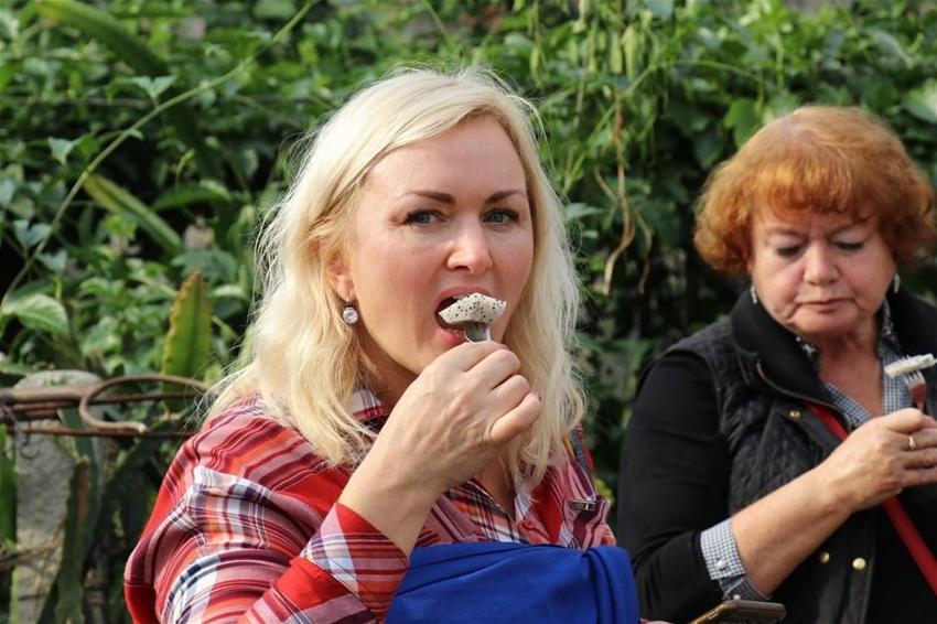 Pitaya bahçesi servet kazandırıyor