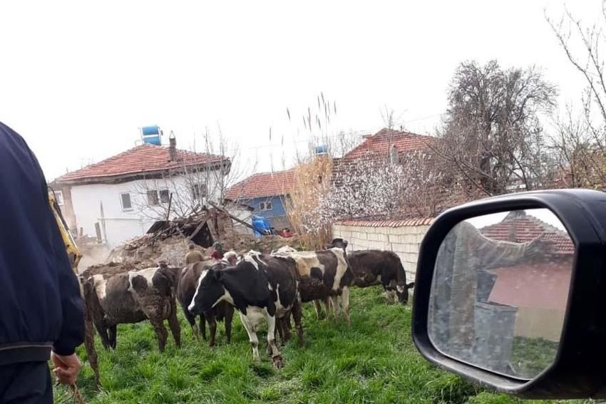 Denizli'de şiddetli deprem! Art arda artçı sarsıntılar...