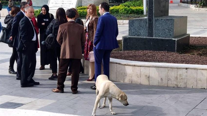 Denizli'de şiddetli deprem! Art arda artçı sarsıntılar...