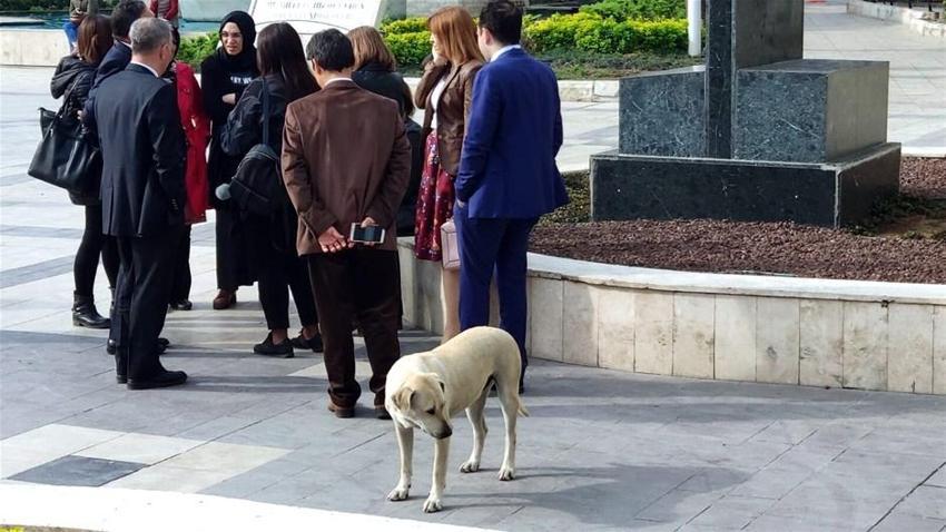 Denizli'de şiddetli deprem! Art arda artçı sarsıntılar...