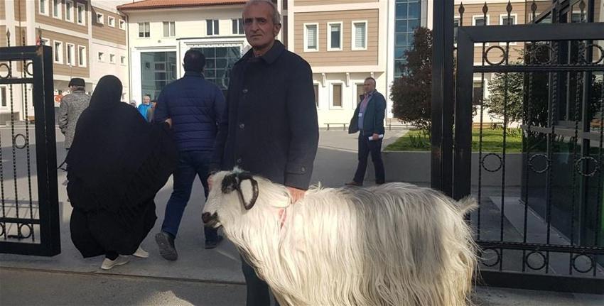 Türkiye sandık başında, yurttan seçim manzaraları!