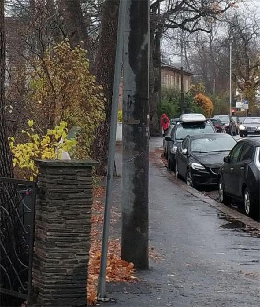 CIA uyardı! Suudi Prens meğer...