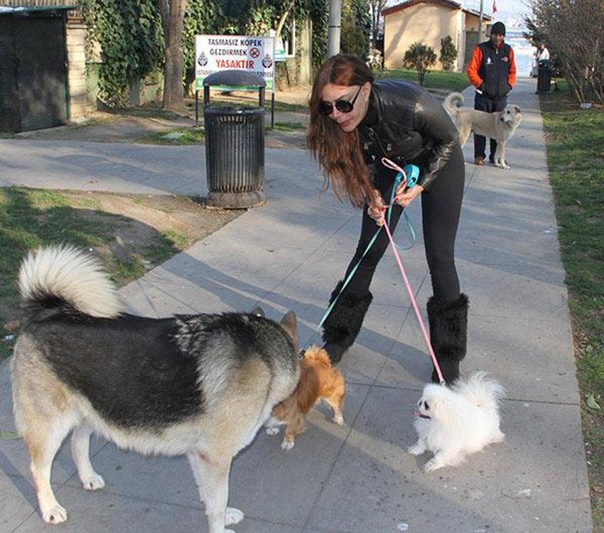 Sevda Demirel'den Hande Ataizi'ne olay teklif!