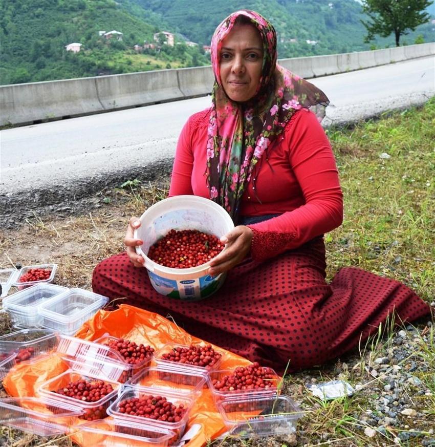 Satmaya kıyamıyorlar! Kilosu...