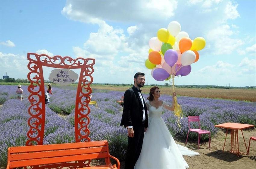 Lavanta tarlalarına 50 bin ziyaretçi
