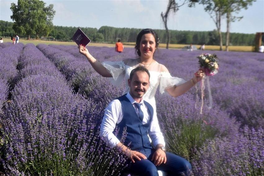 Lavanta tarlalarına 50 bin ziyaretçi