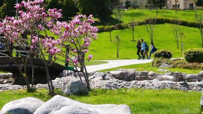 İstanbul ilçelerinde seçim sonuçları ve oy oranları
