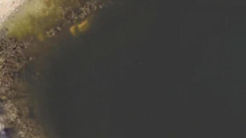 22 yıl önce kaybolan adamın cesedi Google Earth sayesinde bulundu
