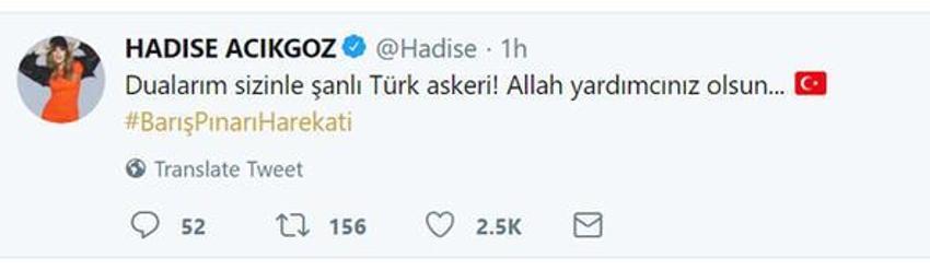 Ünlü isimlerden Barış Pınarı Harekatı'na destek