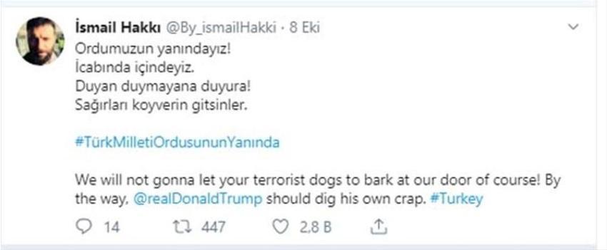 Ünlü isimlerden Barış Pınarı Harekatı'na destek