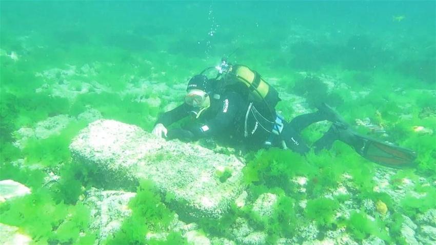 İstanbul'da depremlerle batan ada: Vordonisi Adası
