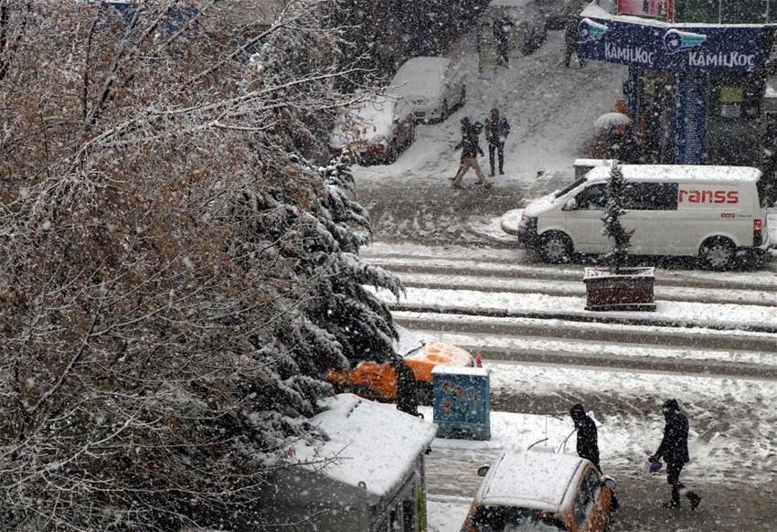 Van'da kar hayatı felç etti! 33 yerleşim ulaşıma kapandı
