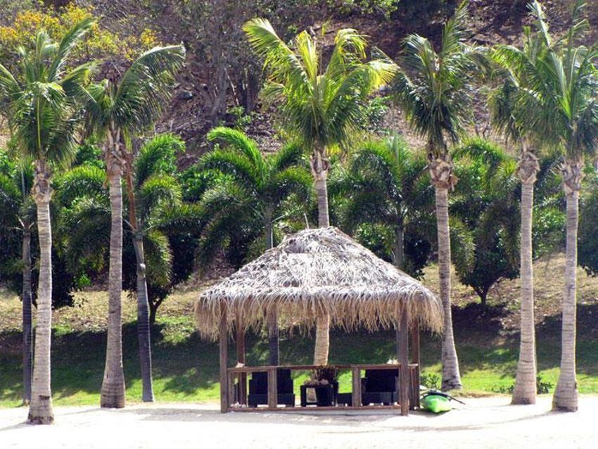 Sapık milyarderin rezaletinde şok detay...