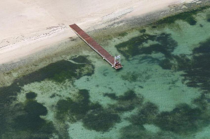 Sapık milyarderin rezaletinde şok detay...