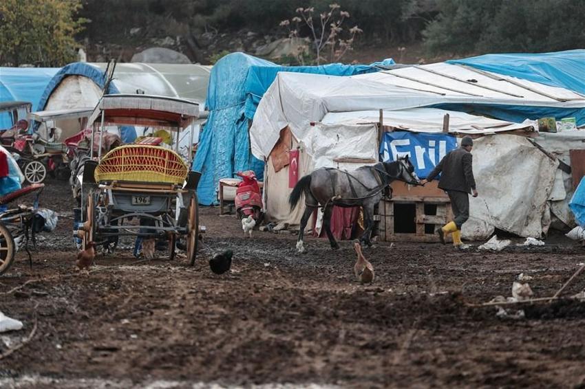 Büyükada'daki Ruam salgını ile ilgili şok iddia! İmamoğlu'na seslendiler...