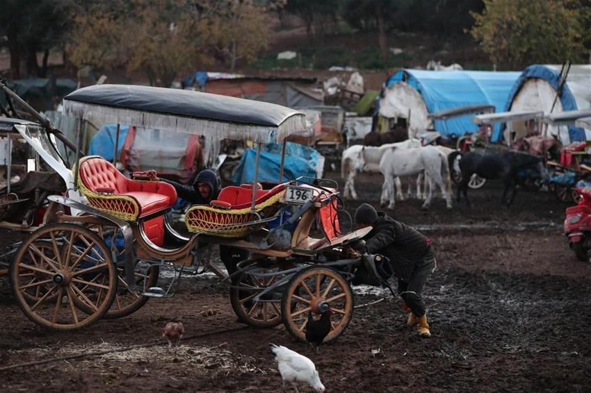 Büyükada'daki Ruam salgını ile ilgili şok iddia! İmamoğlu'na seslendiler...