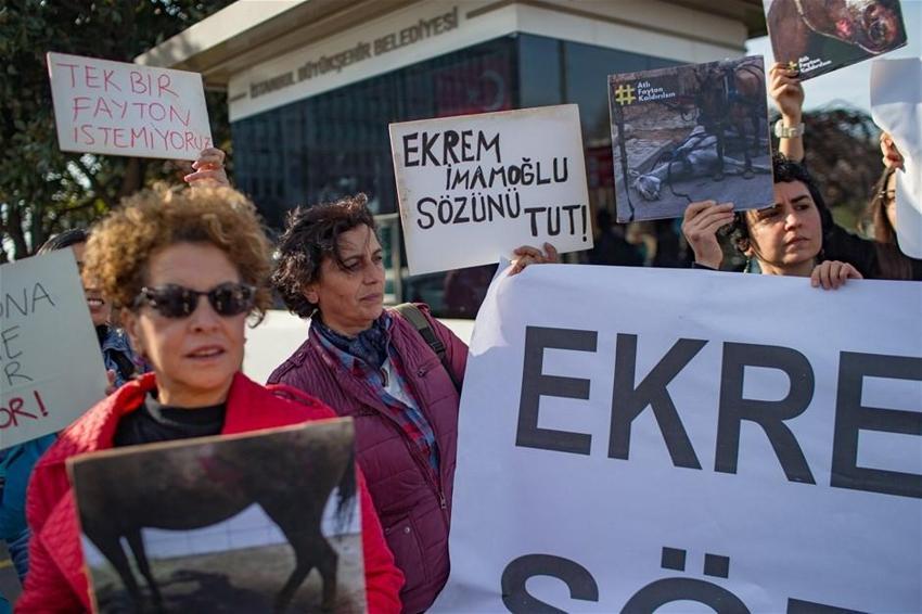 Büyükada'daki Ruam salgını ile ilgili şok iddia! İmamoğlu'na seslendiler...