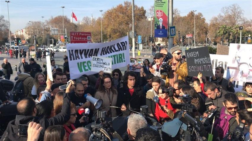Büyükada'daki Ruam salgını ile ilgili şok iddia! İmamoğlu'na seslendiler...