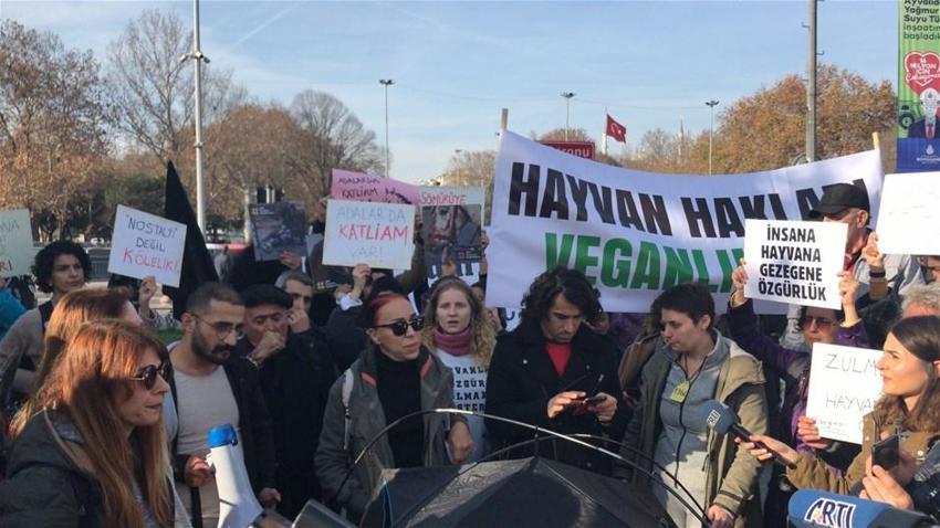 Büyükada'daki Ruam salgını ile ilgili şok iddia! İmamoğlu'na seslendiler...