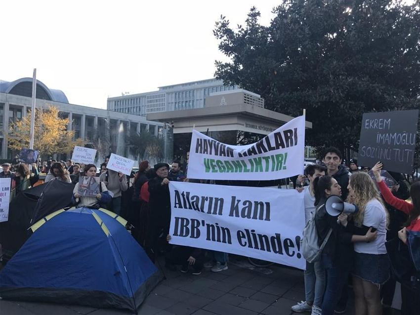 Büyükada'daki Ruam salgını ile ilgili şok iddia! İmamoğlu'na seslendiler...