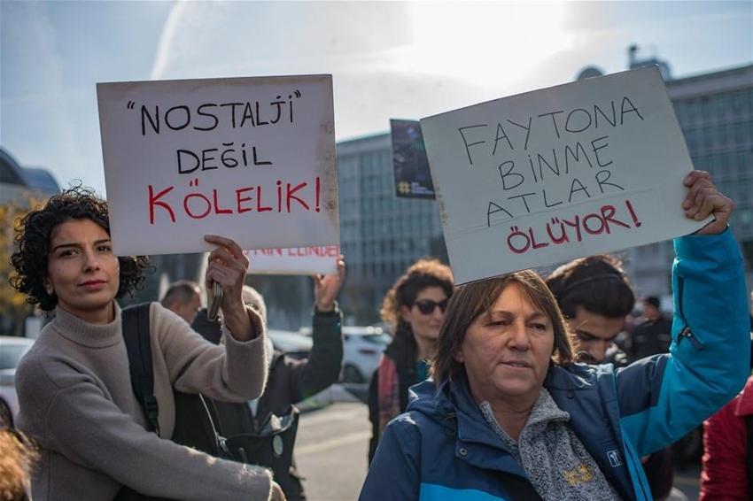 Büyükada'daki Ruam salgını ile ilgili şok iddia! İmamoğlu'na seslendiler...
