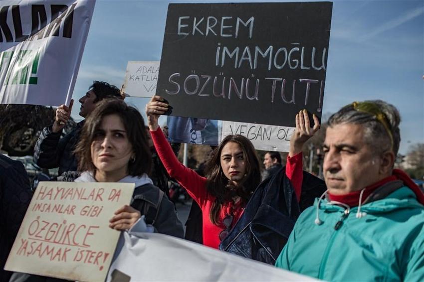 Büyükada'daki Ruam salgını ile ilgili şok iddia! İmamoğlu'na seslendiler...